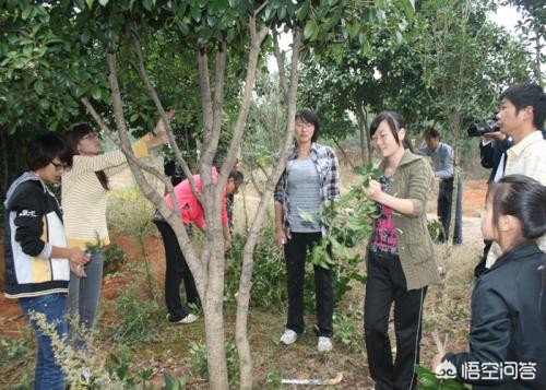 南阳市坤奥实业有限公司实力？