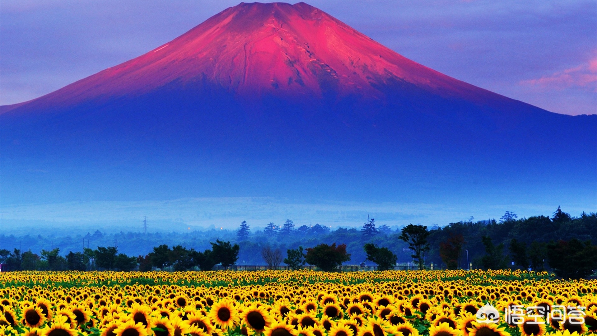 日本，韩国，欧美等，都有哪些好看的，动画片电影。越多越好哦？：日本韩国欧美