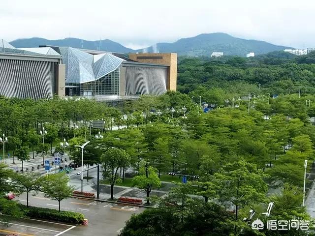 深圳在国内属于什么级别的城市？