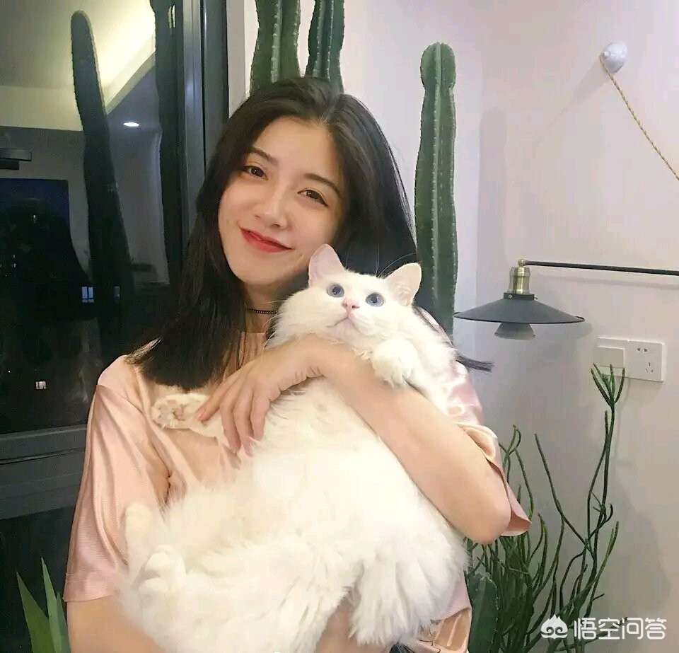 海外生活闺蜜头像，海外生活vlog