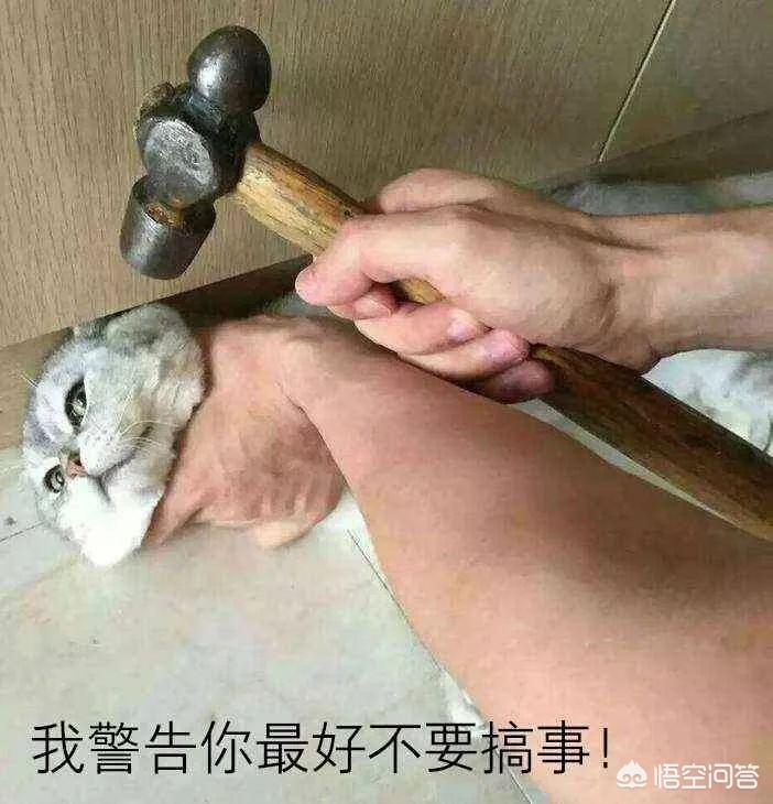 继的朋友们免费阅读下拉式45，继的朋友们免费阅读下拉式2