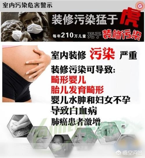 6万租房甲醛超标2倍