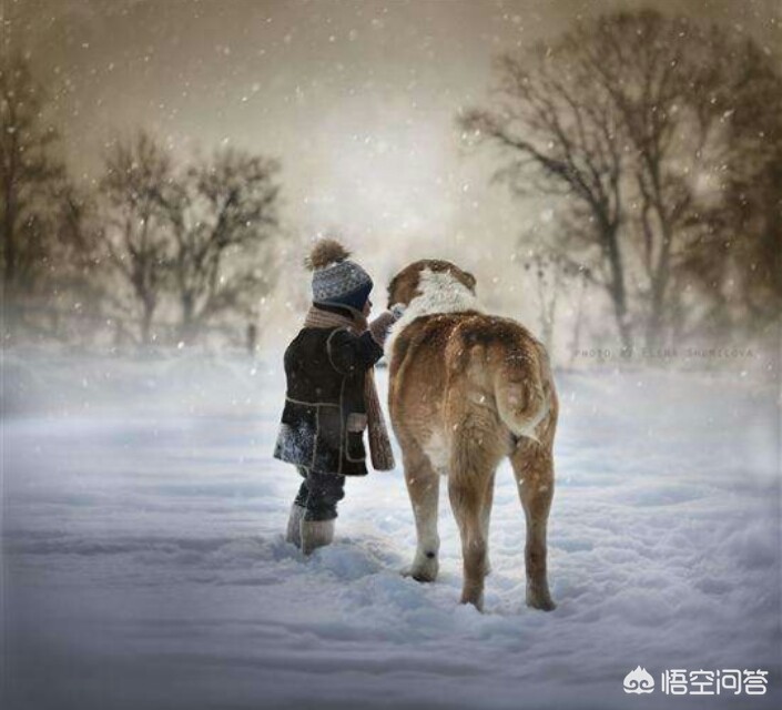记录海外生活图片素材下载，记录海外生活图片素材下载软件