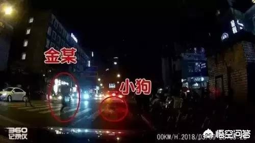 砸奥迪