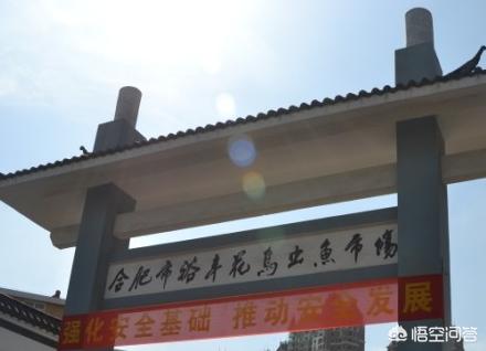 合肥哪有卖狗狗的地方？比较大的狗市在哪？