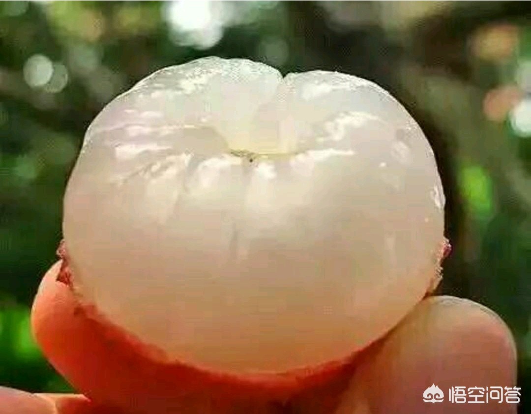 福建荔枝销售情况怎么样