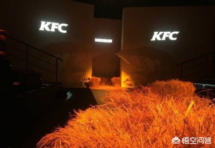 可乐美妆品类好物排行榜
