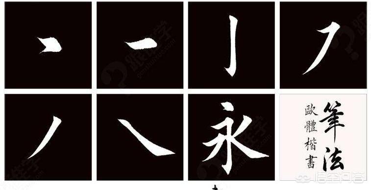 自学搭建网站写软件