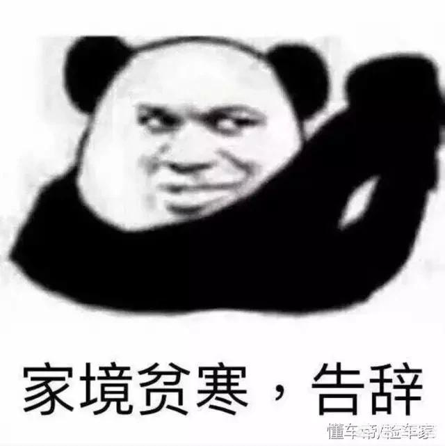 大众辉腾车