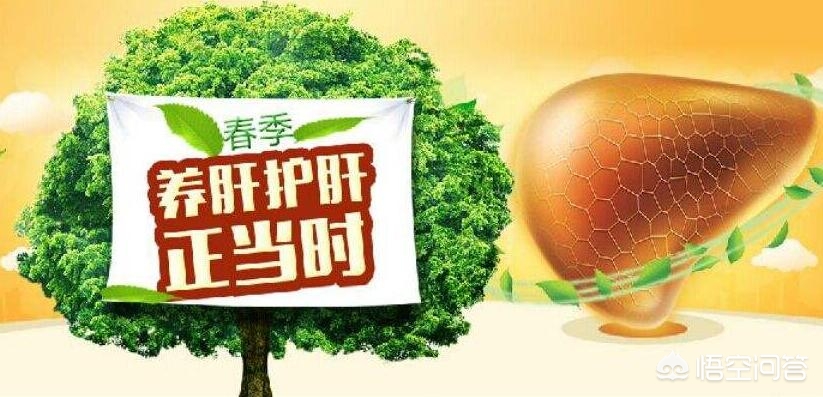 春季养肝的专业知识，春季养肝的专业知识及图片