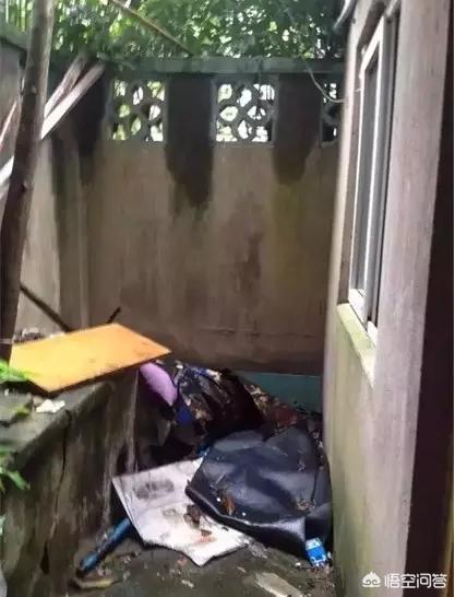 [夹缝中生存]什么叫夹缝里生存？