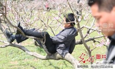 兰州市哪里有卖草坪的