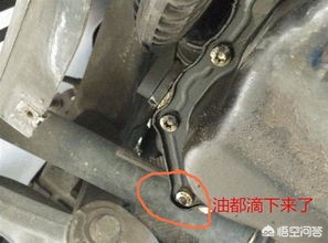 上汽大众二手汽车报价,上汽大众二手车价格