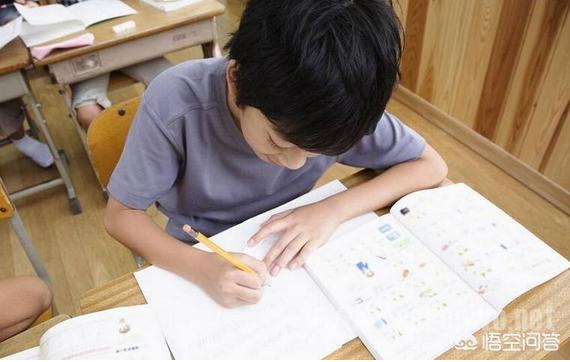 如何查成绩初中生，如何查成绩初中生软件