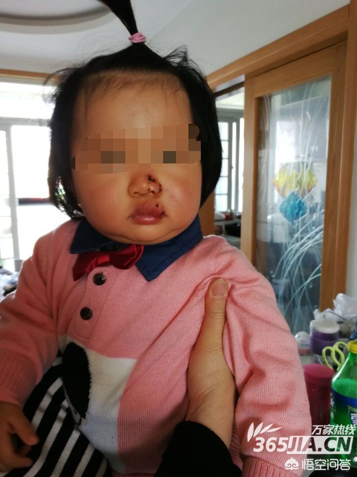 合肥市有哪些狗禁养地区