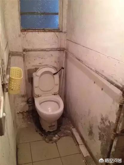 [夹缝中生存]什么叫夹缝里生存？