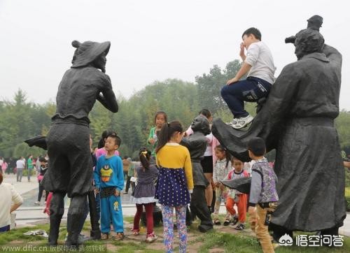 兰州市哪里有卖草坪的