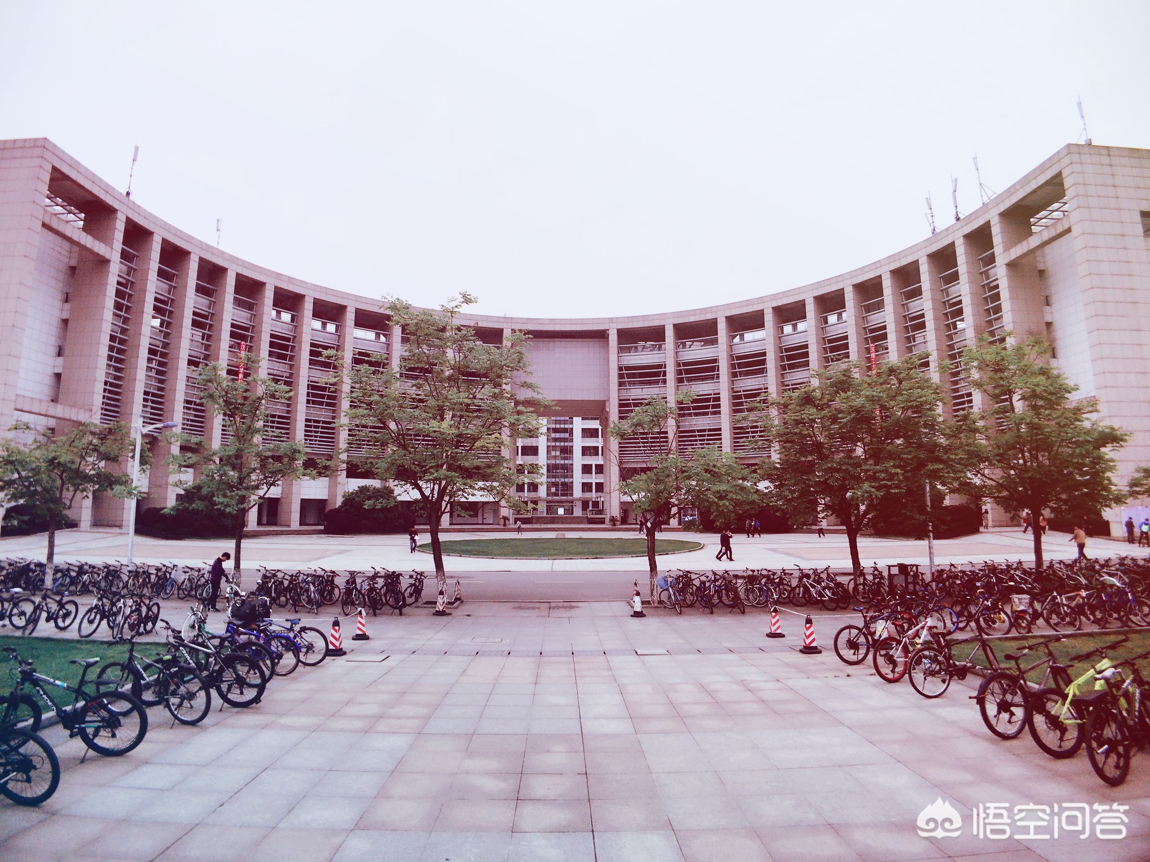 武汉大学弘毅学堂有哪些专业？