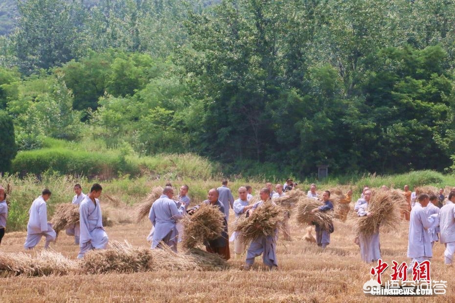 僧人顶38度高温种地（河南登封少林寺的和尚还种地吗？）