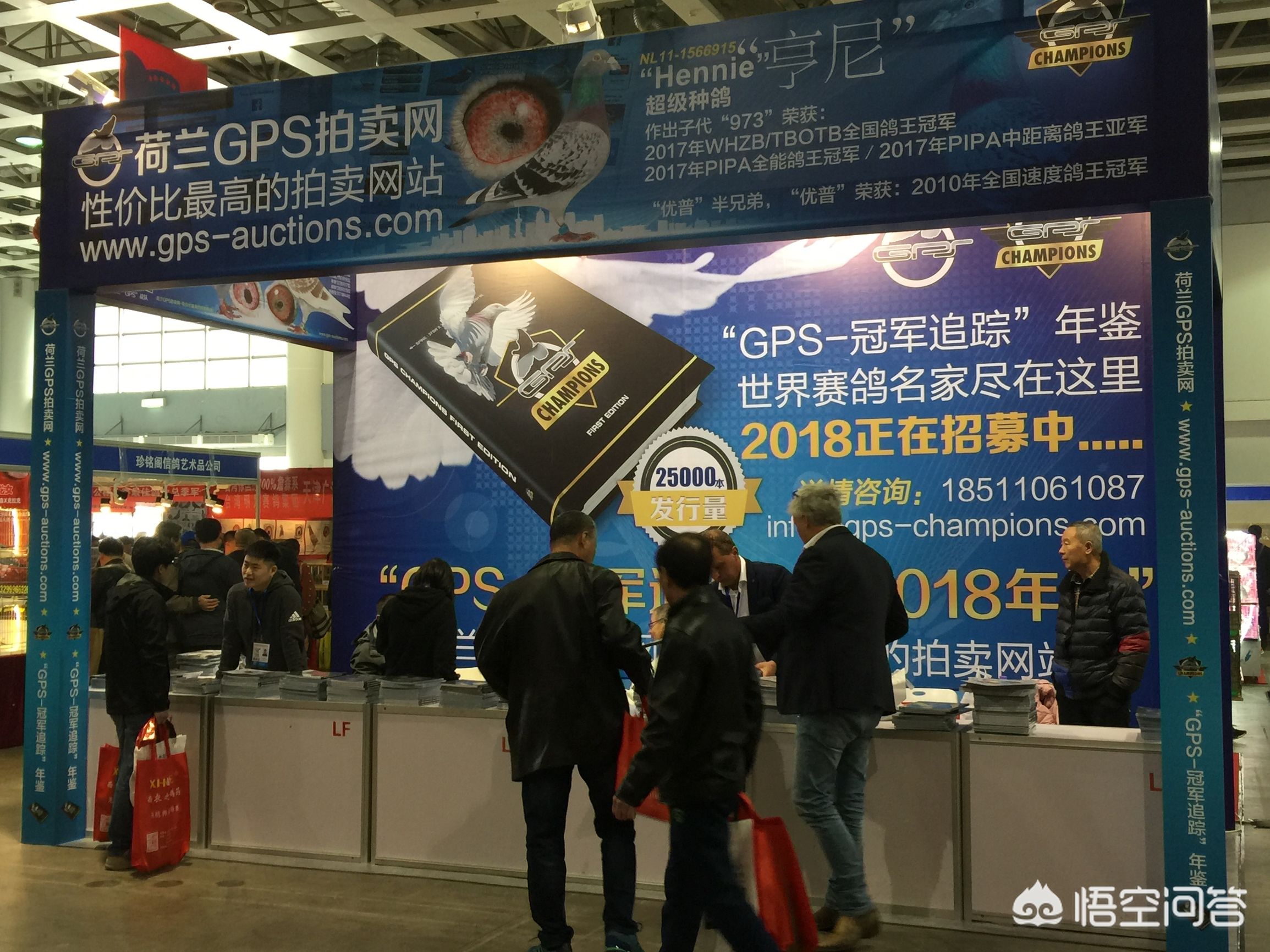 鸽子的海外生活特点，鸽子的海外生活特点是什么