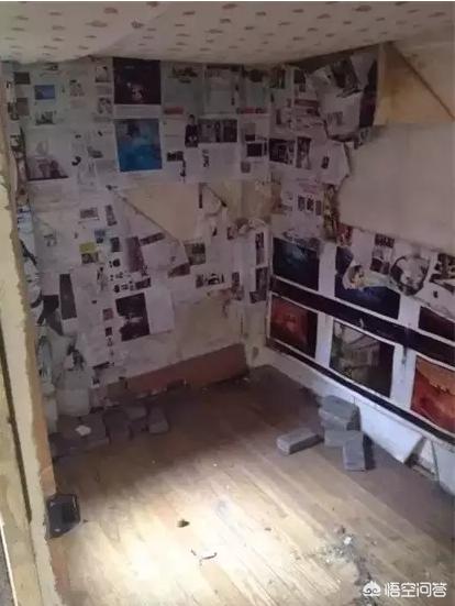 [夹缝中生存]什么叫夹缝里生存？