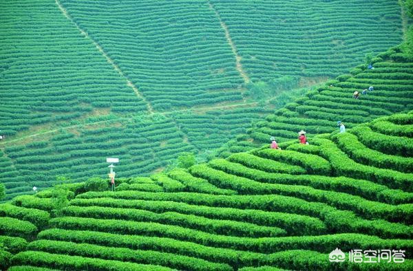 贺州网页,贺州最好的温泉排名?