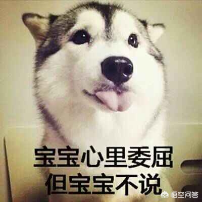 本地人海外生活好吗现在，本地人海外生活好吗现在怎么样
