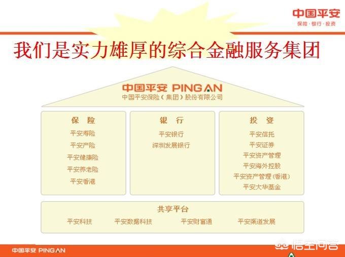 中国哪个保险公司最大，中国哪个保险公司最大信誉最好