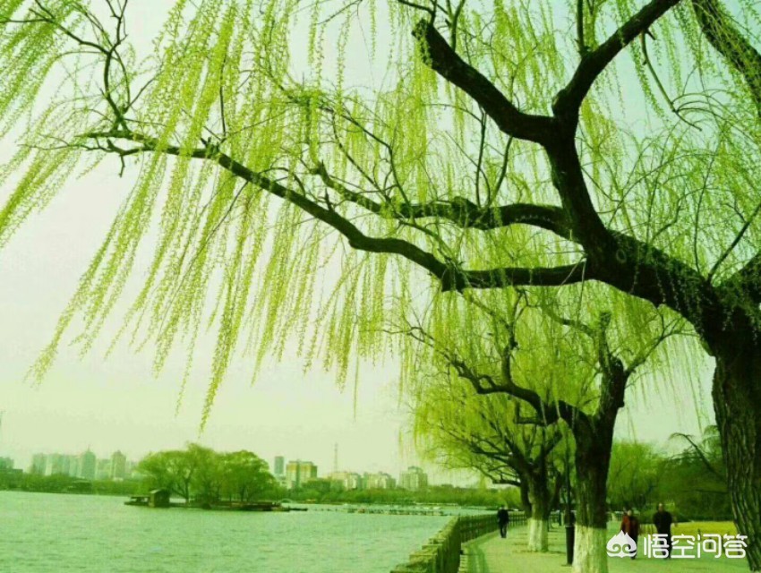 看不见的女孩看不见的女孩动漫第一季在哪可以看