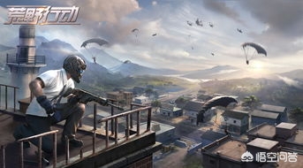 [网易游戏遭玩家维权]网易就PUBG公司对《荒野行动》游戏的起诉行为发出维权声明，你怎么看？