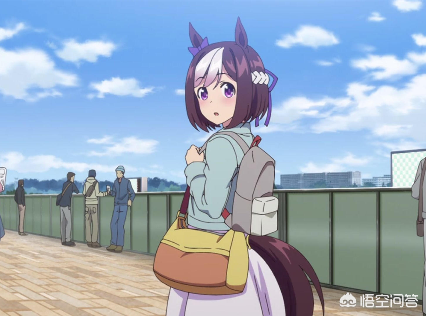 赛马娘年龄怎么填？：赛马娘手游