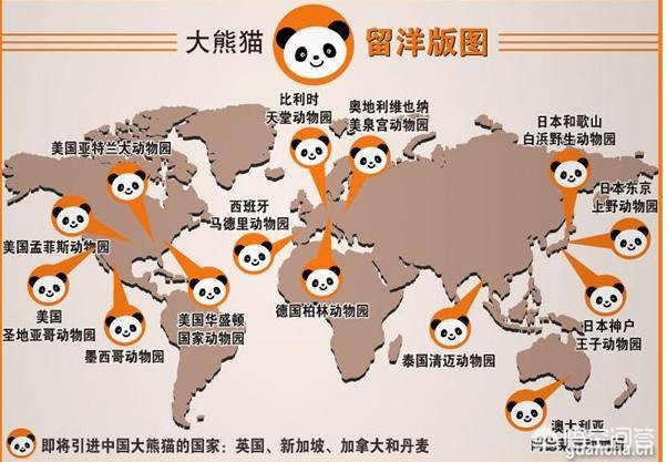 海外生活的熊猫叫什么，海外生活的熊猫叫什么名字