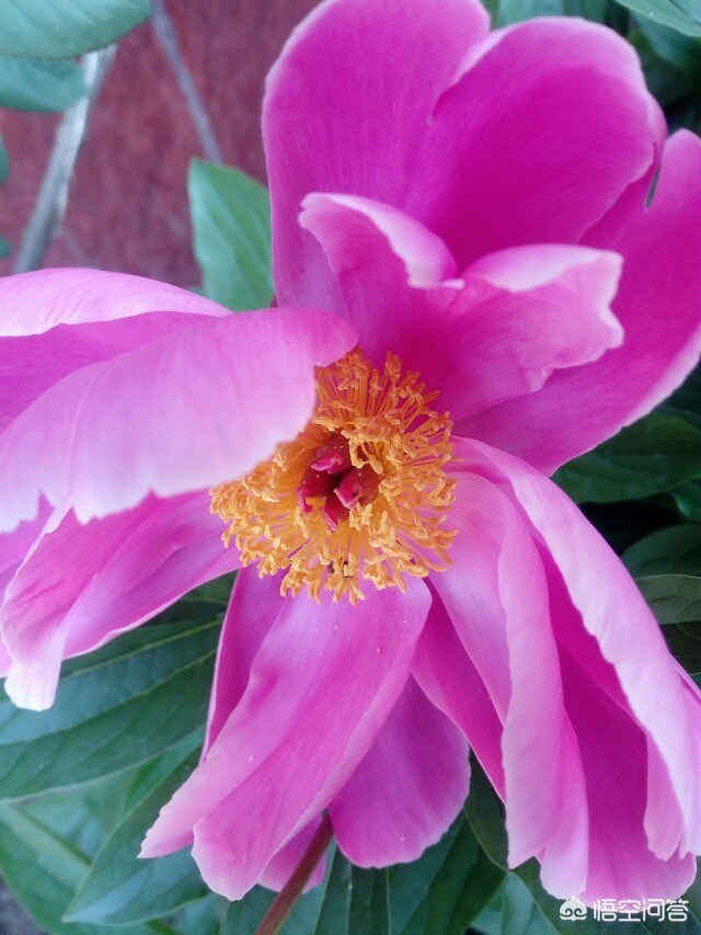 看不见的女孩看不见的女孩动漫第一季在哪可以看 看不见的女孩看不见的女孩动漫第一季在哪可以看