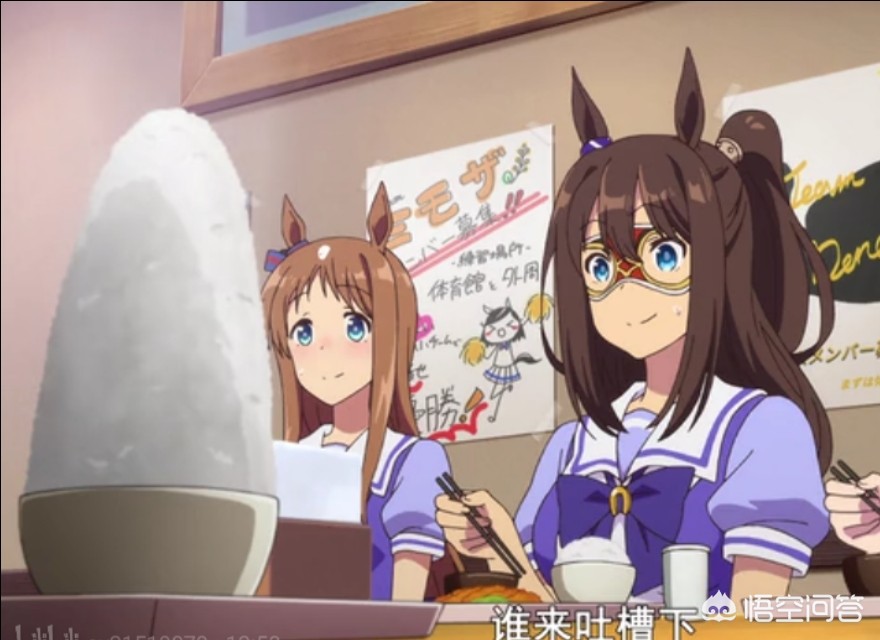 赛马娘年龄怎么填？：赛马娘手游