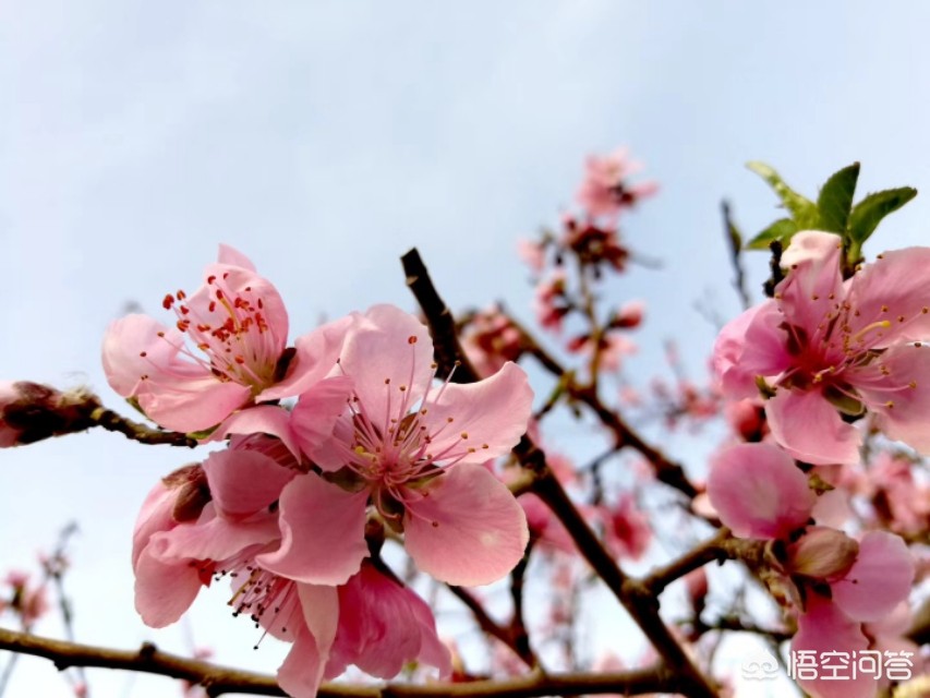 看不见的女孩看不见的女孩动漫第一季在哪可以看 看不见的女孩看不见的女孩动漫第一季在哪可以看