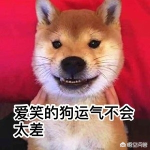 本地人海外生活好吗现在，本地人海外生活好吗现在怎么样