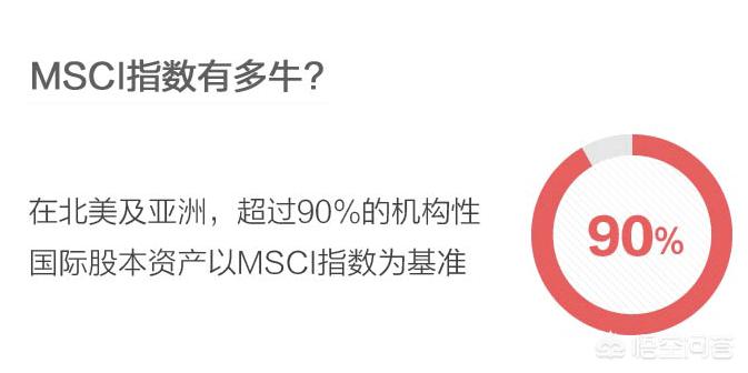 大牛的海外生活，大牛的海外生活视频