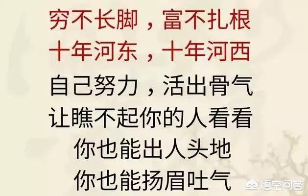 宝马面包汽车报价,宝马面包汽车报价图片