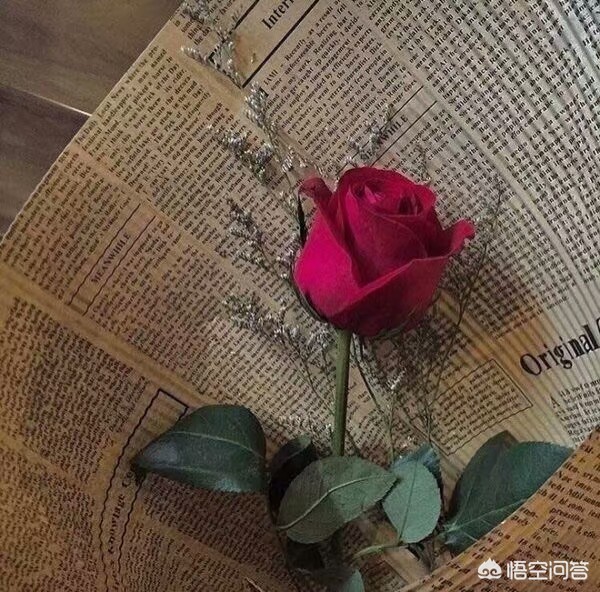 婚庆布置 学徒，婚庆布置 学徒工作内容
