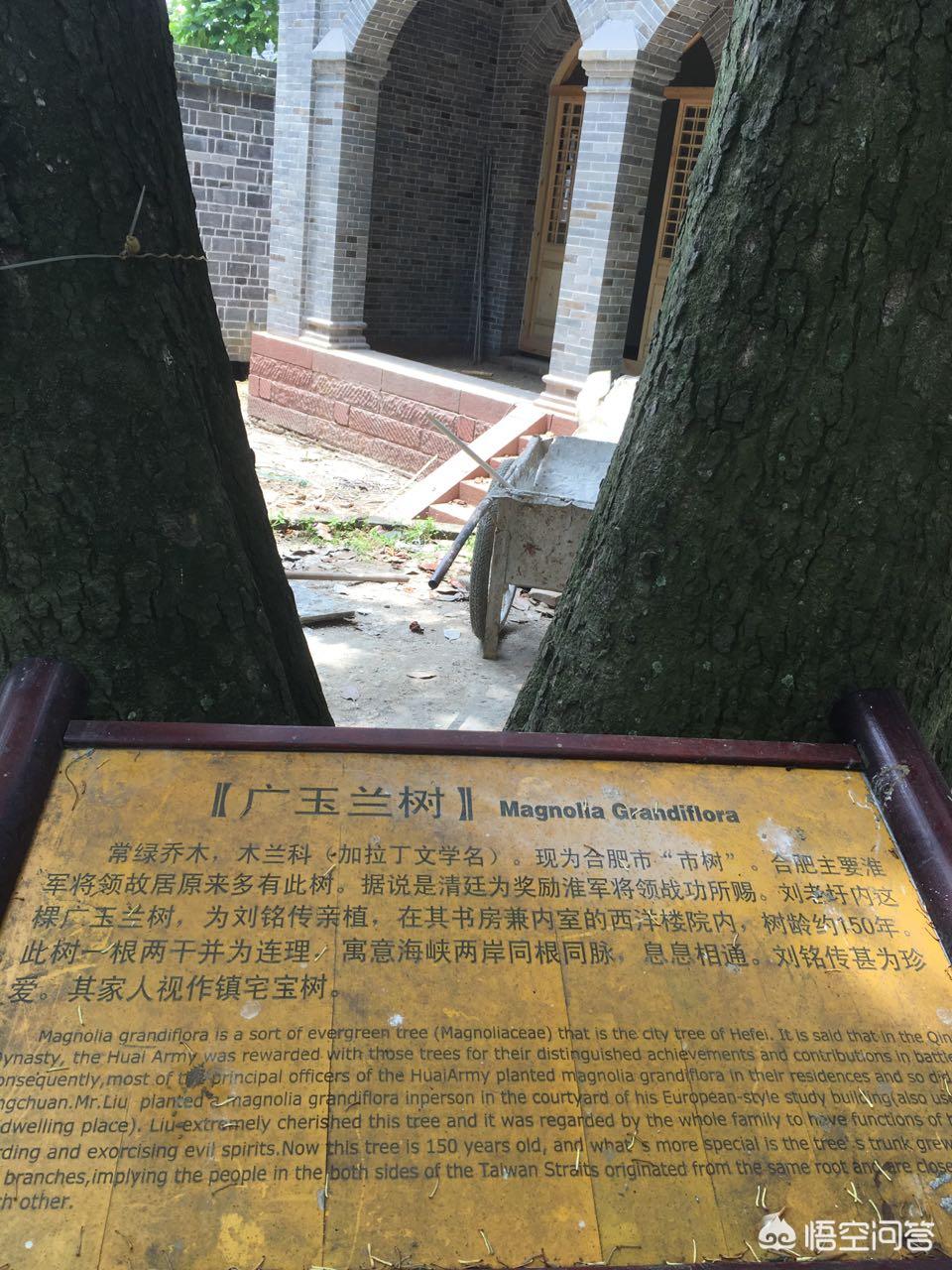 合肥市铭传路在什么区