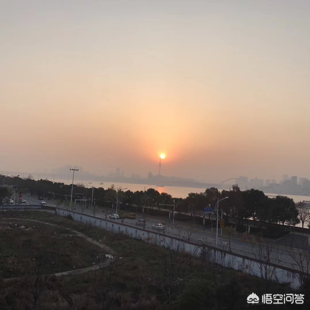 武汉张公堤绿道有共享单车吗？