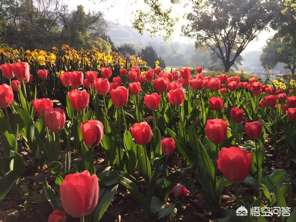 无锡市旅游圣地在哪里