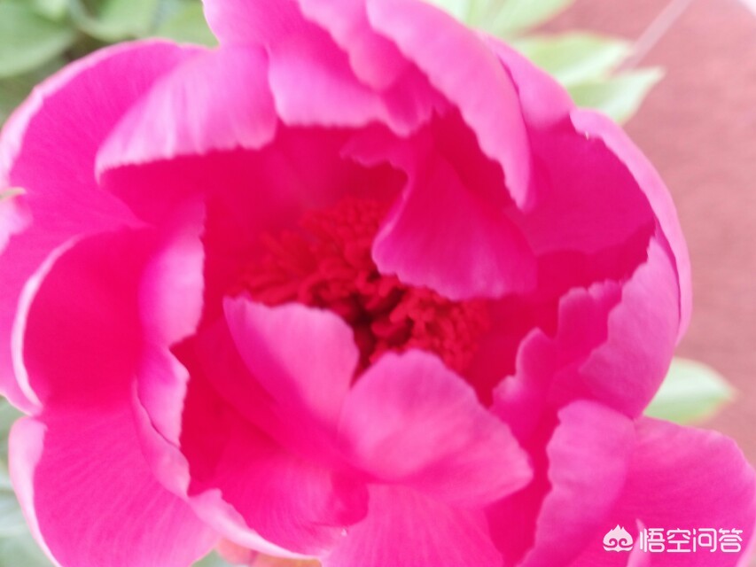 看不见的女孩看不见的女孩动漫第一季在哪可以看 看不见的女孩看不见的女孩动漫第一季在哪可以看