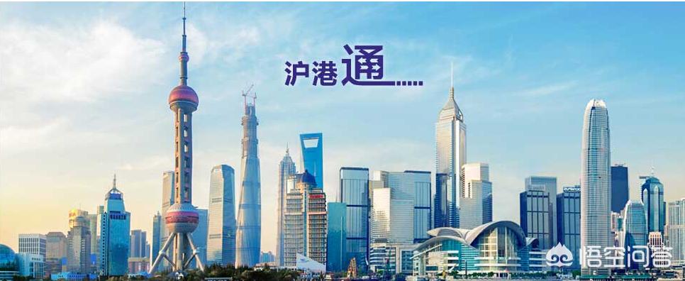 大牛的海外生活，大牛的海外生活视频