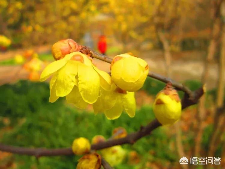 无锡市旅游圣地在哪里 无锡市旅游圣地在哪里