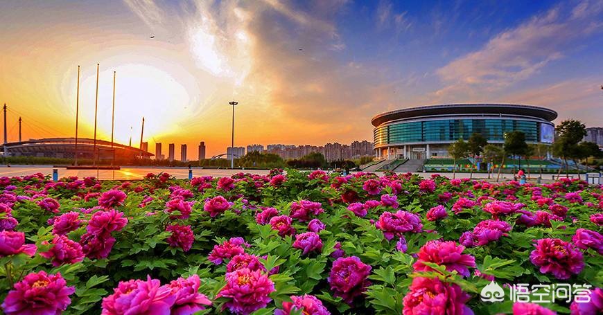 洛阳哪里牡丹好看,哪里小吃好吃? 洛阳哪里牡丹好看,哪里小吃好吃?