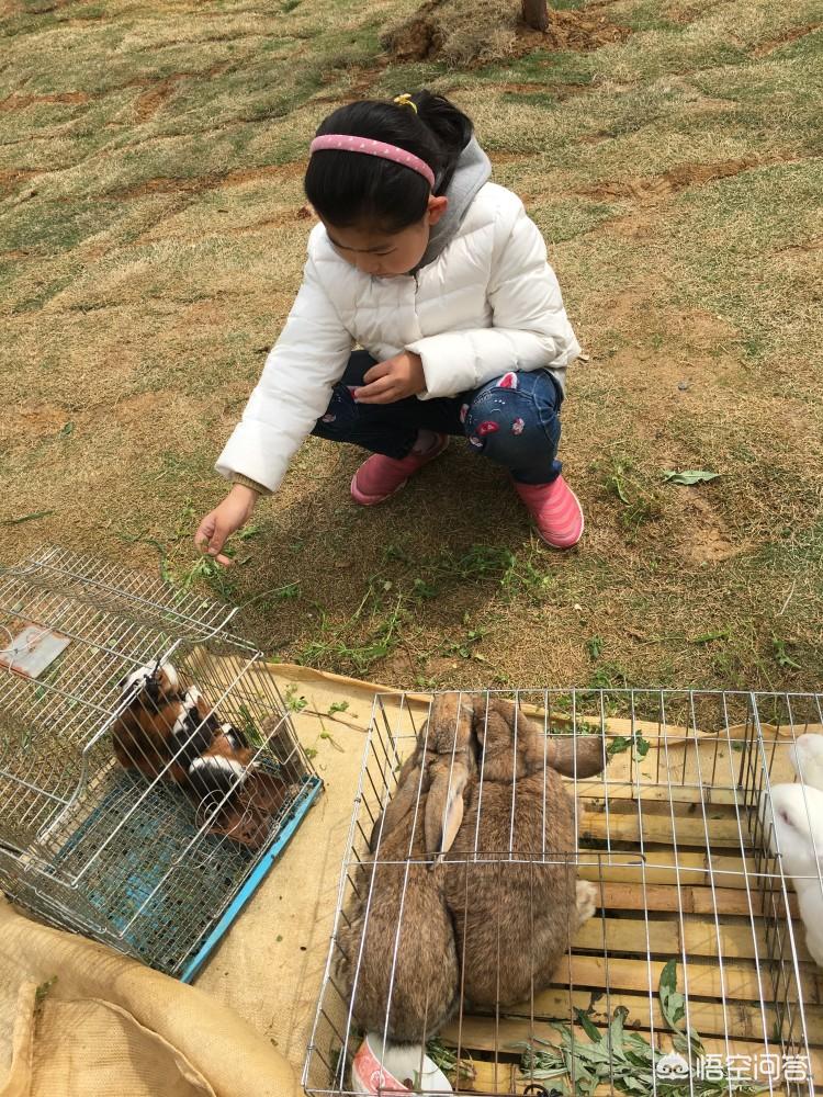 合肥三十岗瓜牛公园怎么样，适合游玩吗？