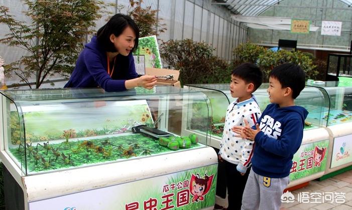 望湖城的合肥望湖城公园? 望湖城的合肥望湖城公园?