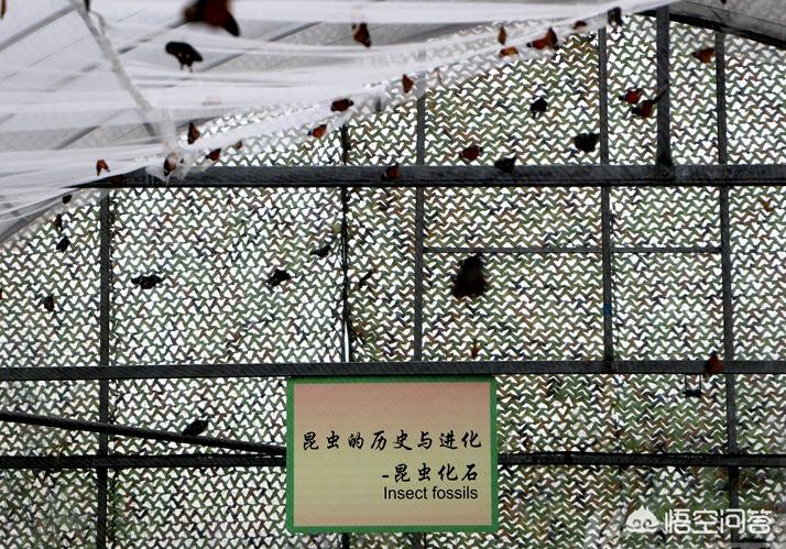 合肥三十岗瓜牛公园怎么样，适合游玩吗？