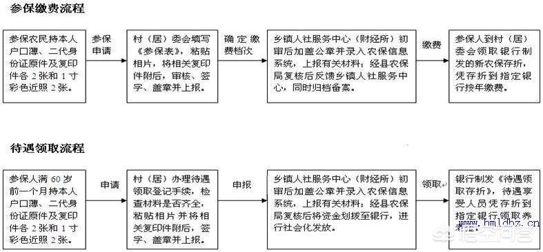海外生活能交养老保险吗，海外生活能交养老保险吗现在